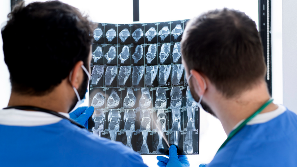 Who Is on the MRI Team? Roles and Responsibilities Explained